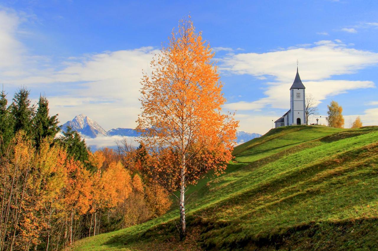 Cottage House Podgosar Bled Pokljuka المظهر الخارجي الصورة