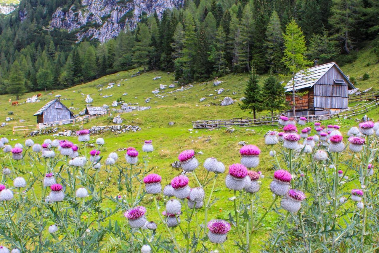 Cottage House Podgosar Bled Pokljuka المظهر الخارجي الصورة