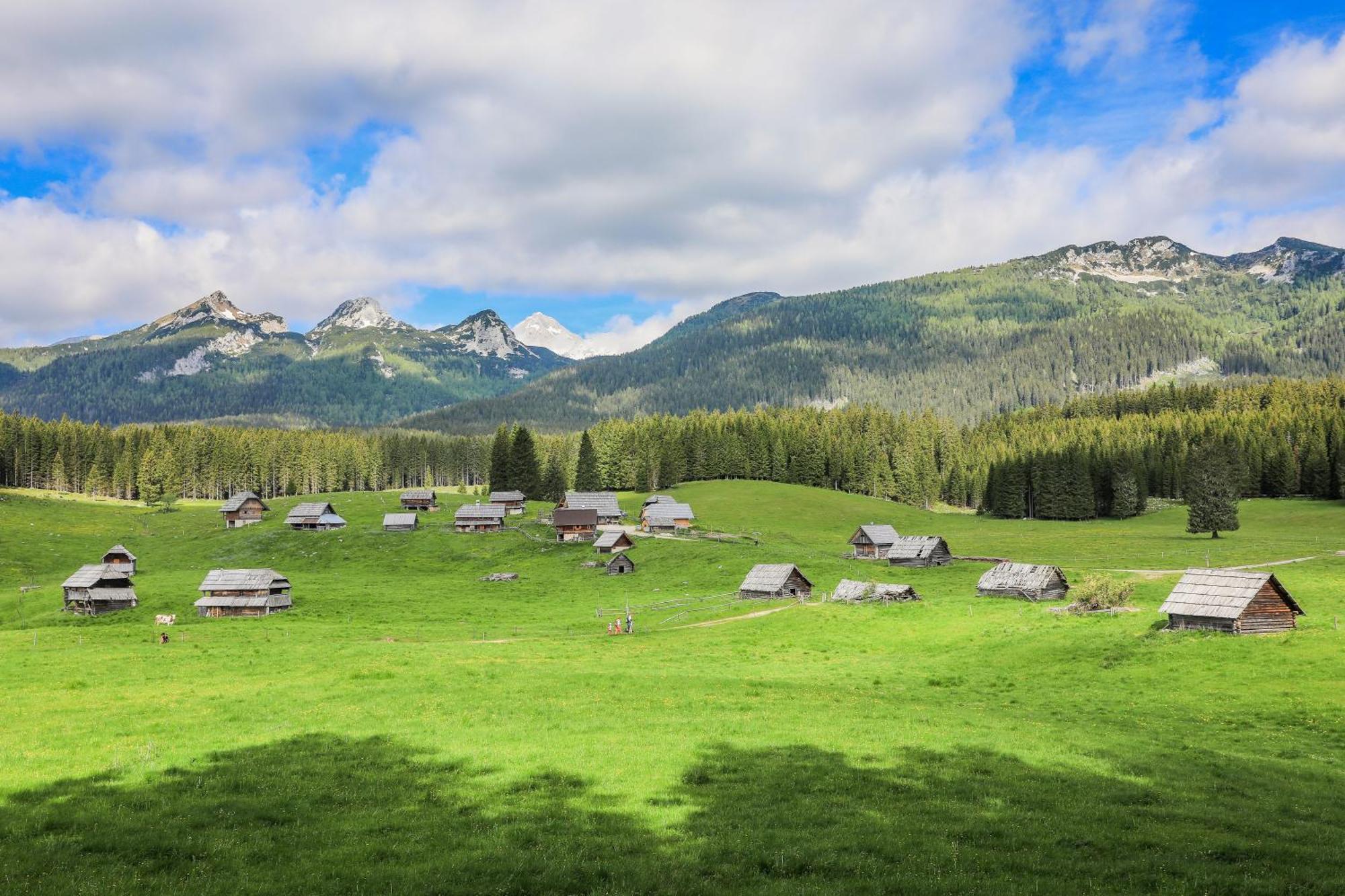 Cottage House Podgosar Bled Pokljuka المظهر الخارجي الصورة