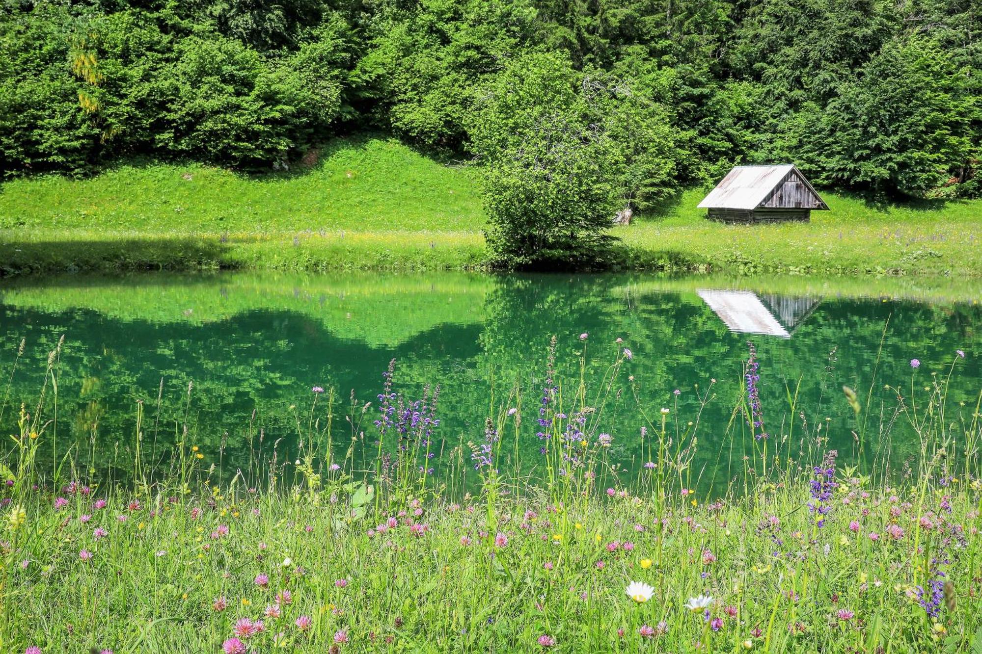 Cottage House Podgosar Bled Pokljuka المظهر الخارجي الصورة